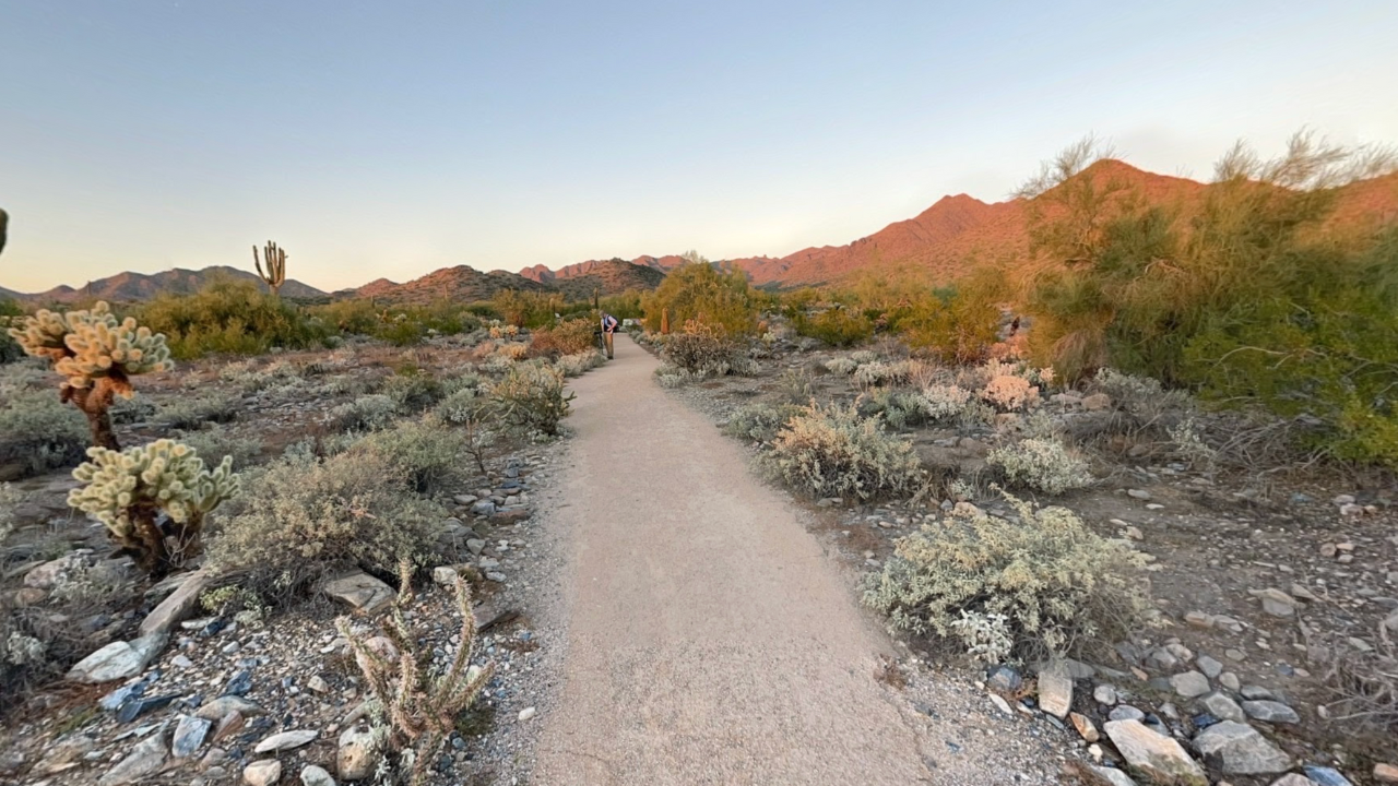 Walking trail at the McDowell Sonoran Preserve